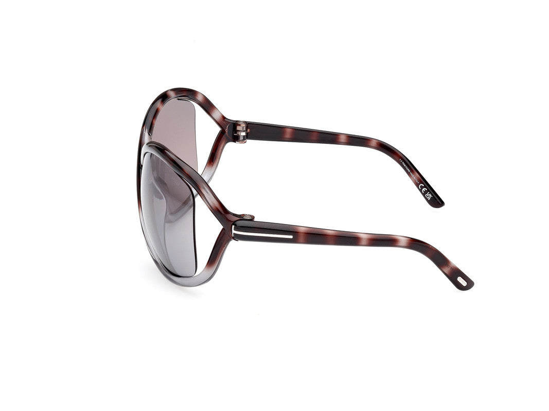 Havana/Gradient Female Sunglasses Tom Ford 889214457646