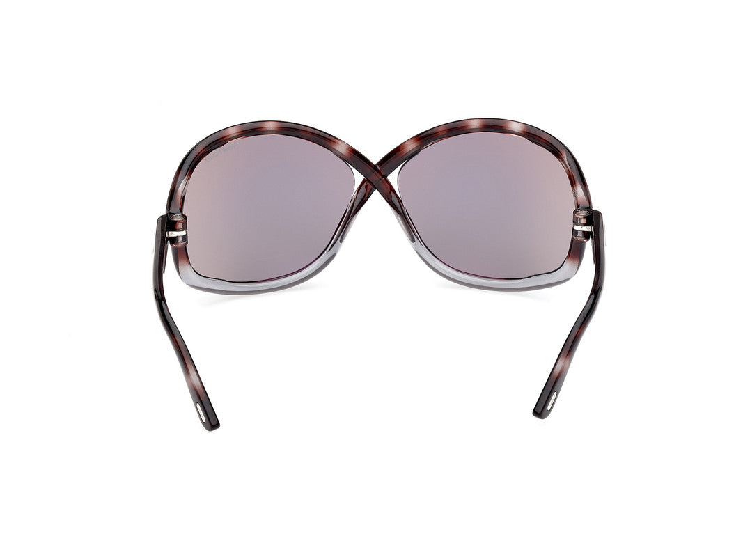 Havana/Gradient Female Sunglasses Tom Ford 889214457646