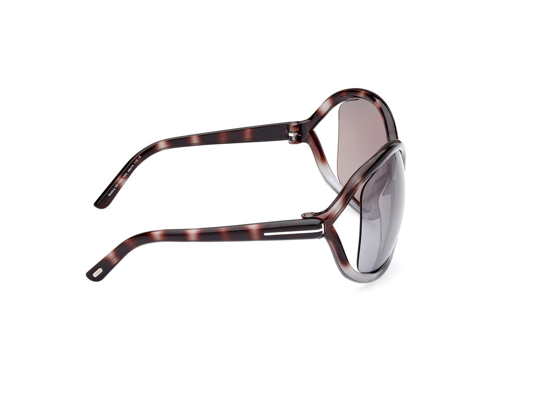 Havana/Gradient Female Sunglasses Tom Ford 889214457646