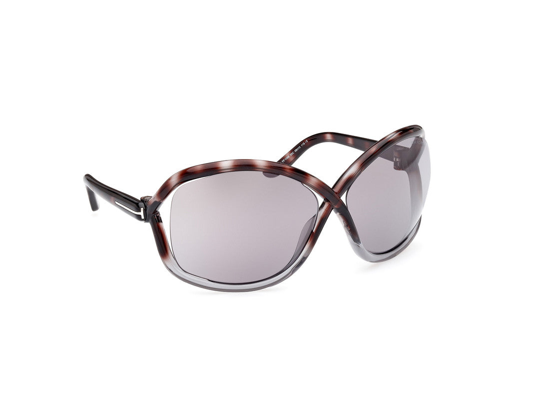 Havana/Gradient Female Sunglasses Tom Ford 889214457646