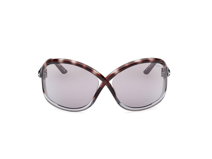 Havana/Gradient Female Sunglasses Tom Ford 889214457646