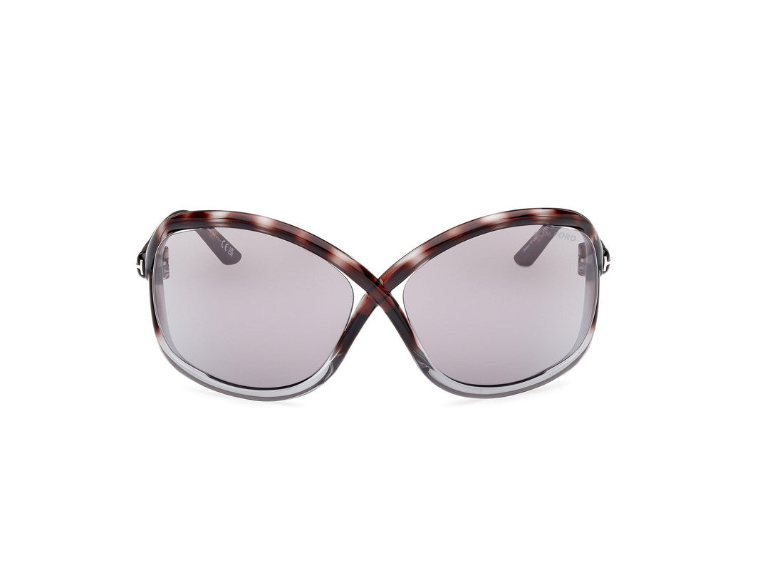 Havana/Gradient Female Sunglasses Tom Ford 889214457646