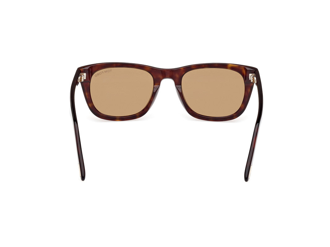 Dark Havana Male Sunglasses Tom Ford 889214468987