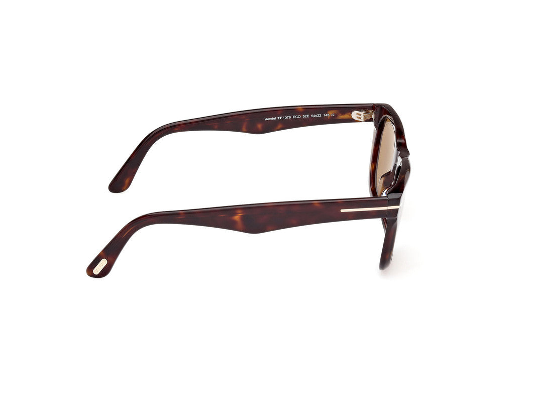 Dark Havana Male Sunglasses Tom Ford 889214468987