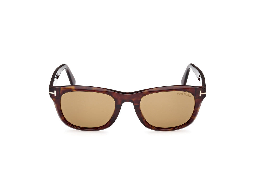 Dark Havana Male Sunglasses Tom Ford 889214468987