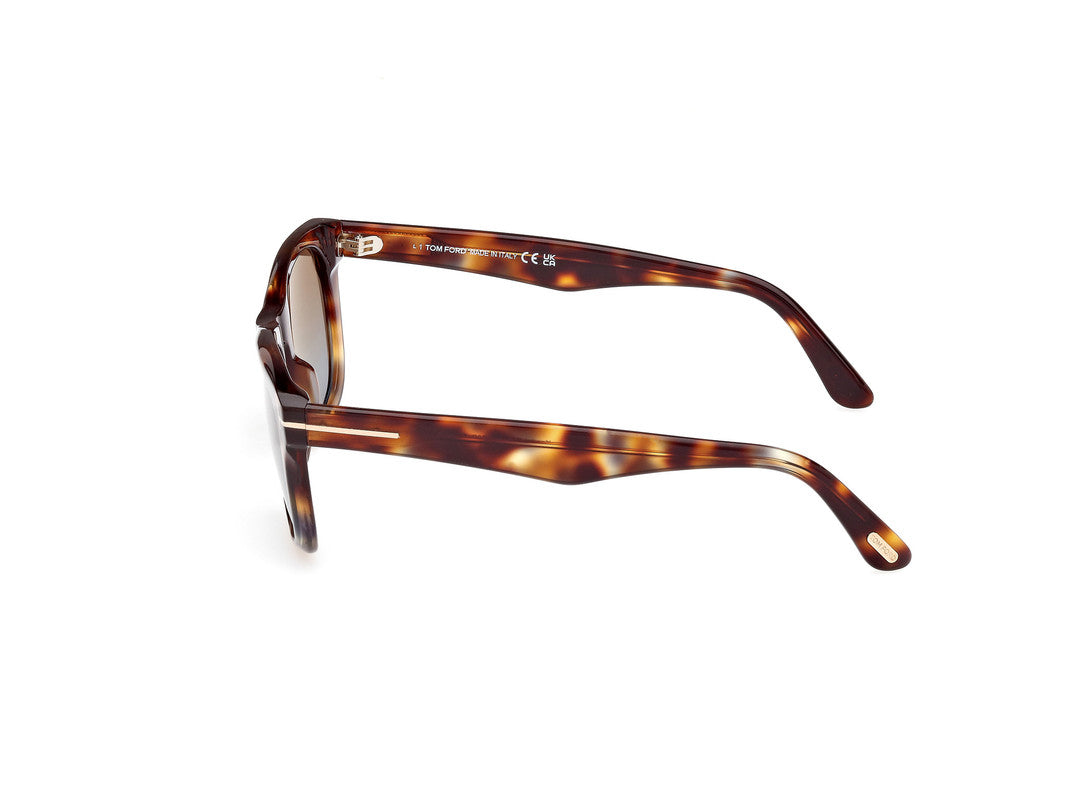 Coloured Havana Male Sunglasses Tom Ford 889214469014