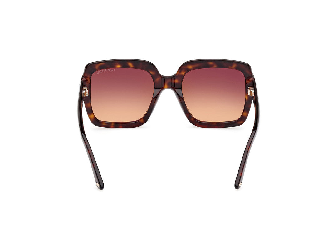 Dark Havana Female Sunglasses Tom Ford 889214469236