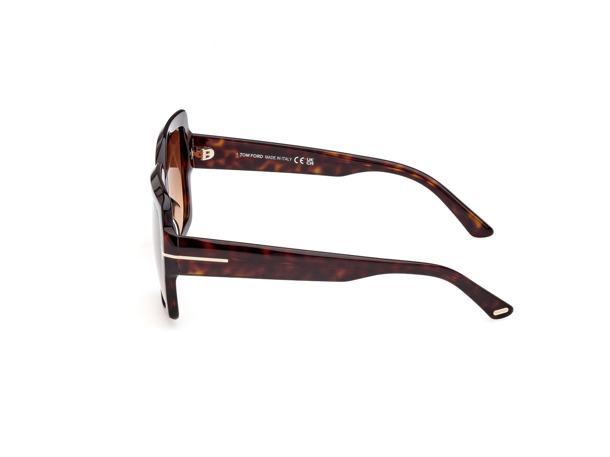 Dark Havana Gradient Brown Female Sunglasses Tom Ford 889214469236