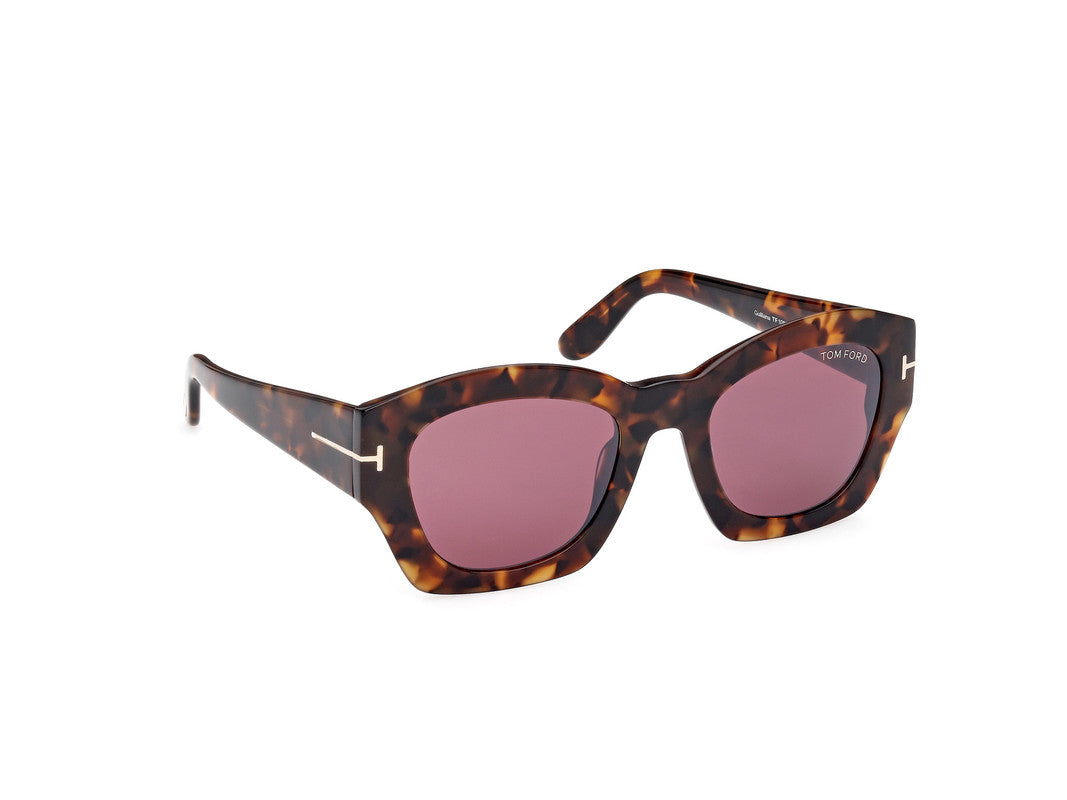 Dark Havana Female Sunglasses Tom Ford 889214469267