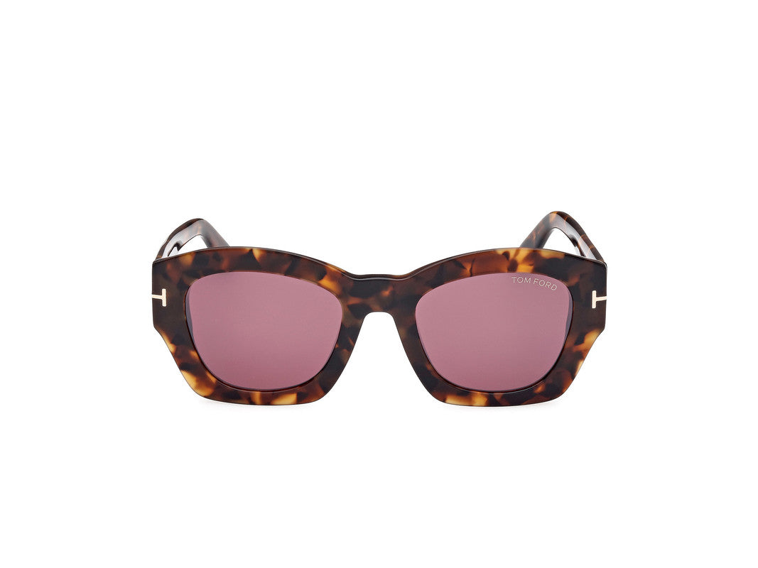 Dark Havana Female Sunglasses Tom Ford 889214469267