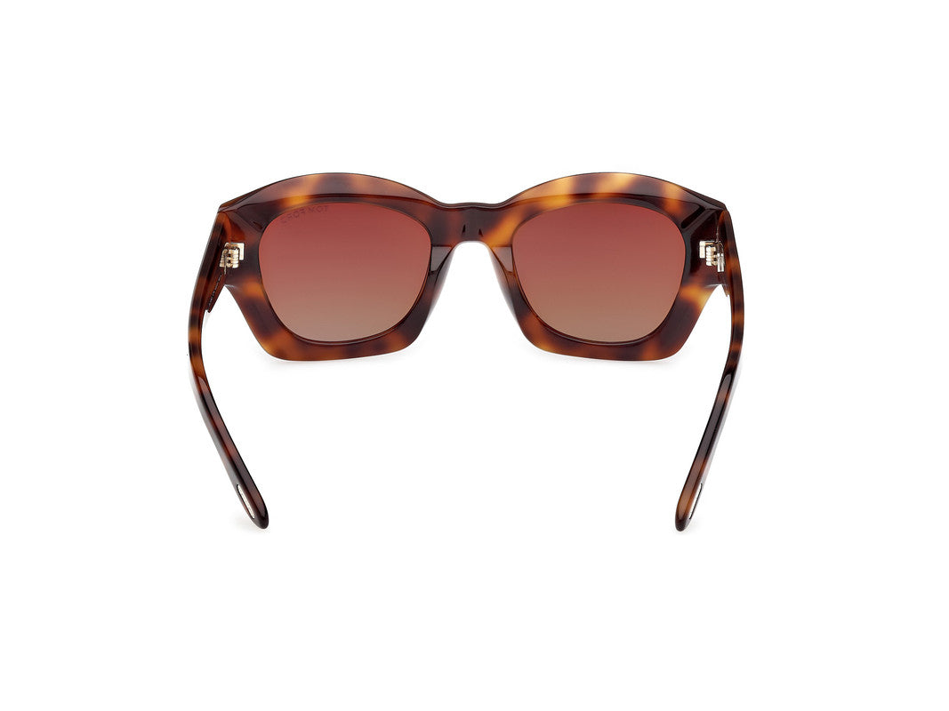 Blonde Havana Female Sunglasses Tom Ford 889214542137