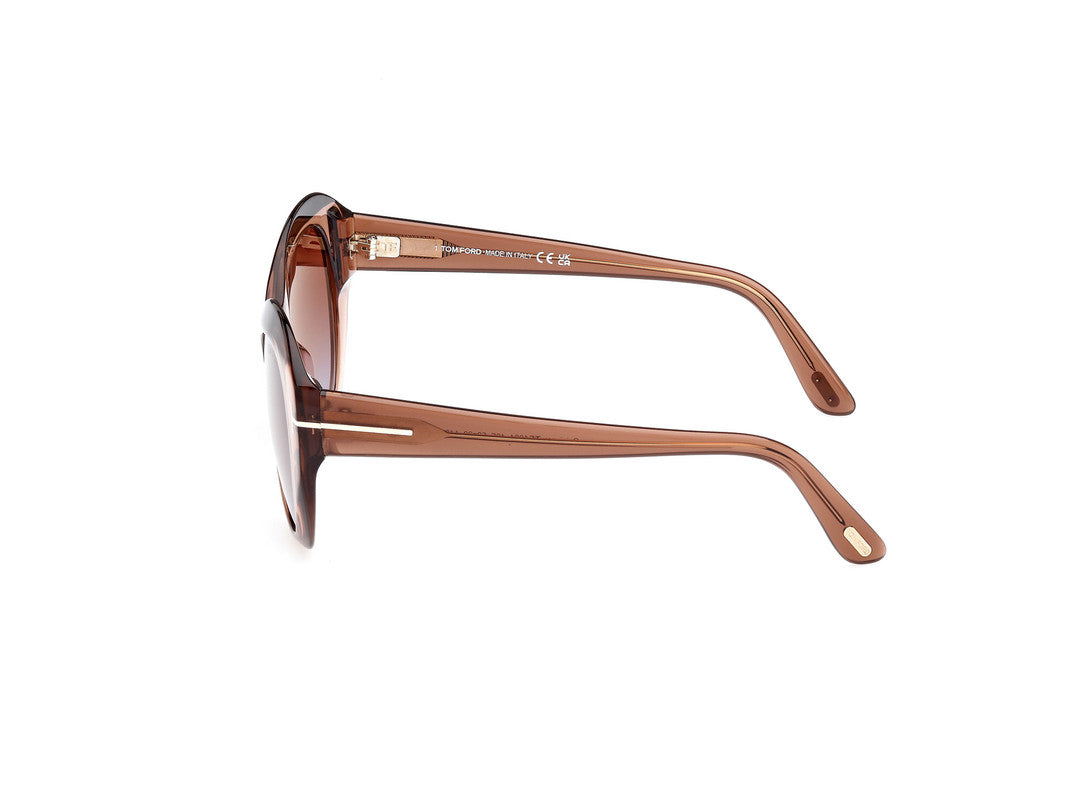 Shiny Dark Brown Female Sunglasses Tom Ford 889214469304