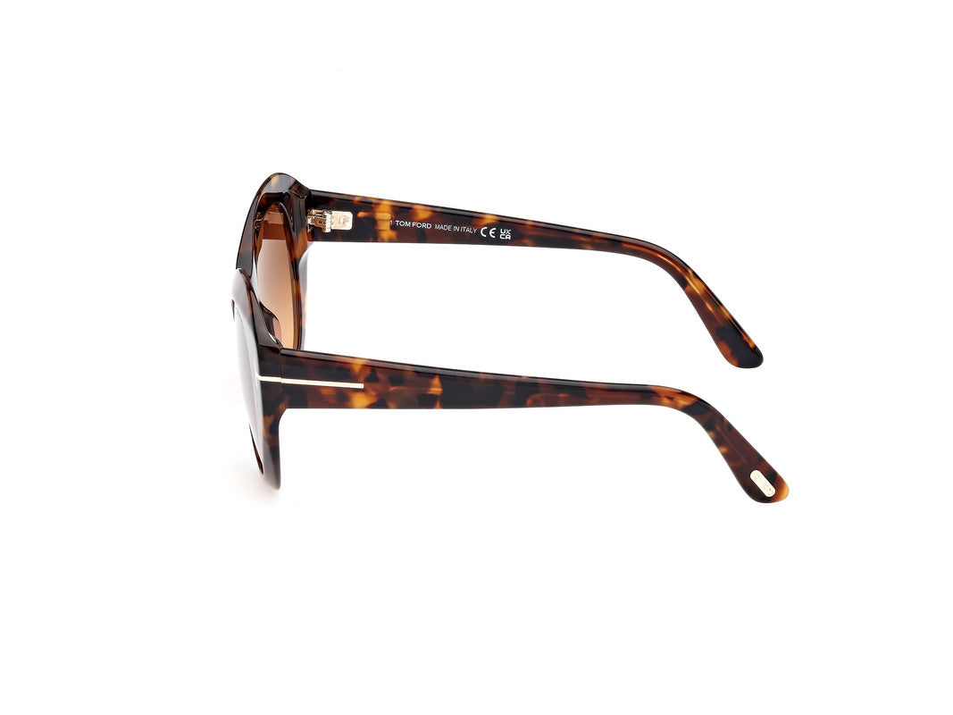 Dark Havana Female Sunglasses Tom Ford 889214469311