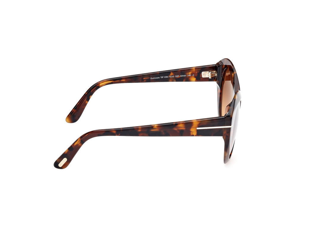 Dark Havana Female Sunglasses Tom Ford 889214469311