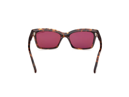 Dark Havana Female Sunglasses Tom Ford 889214469366