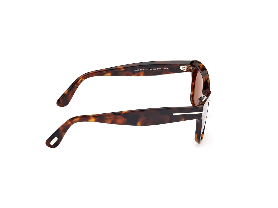 Dark Havana Female Sunglasses Tom Ford 889214469366