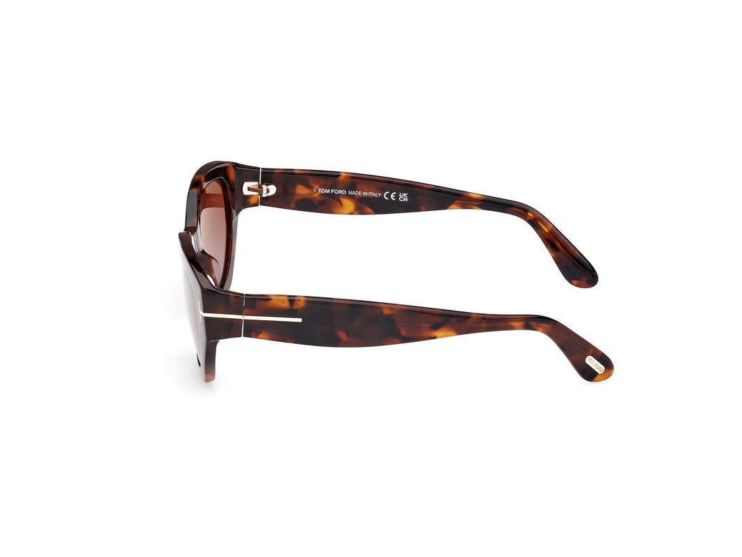 Dark Havana Female Sunglasses Tom Ford 889214469397