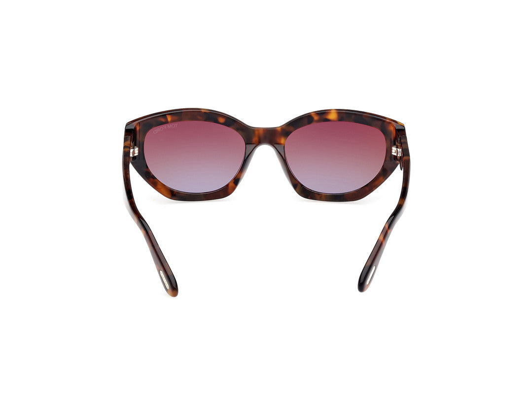 Dark Havana Female Sunglasses Tom Ford 889214469397