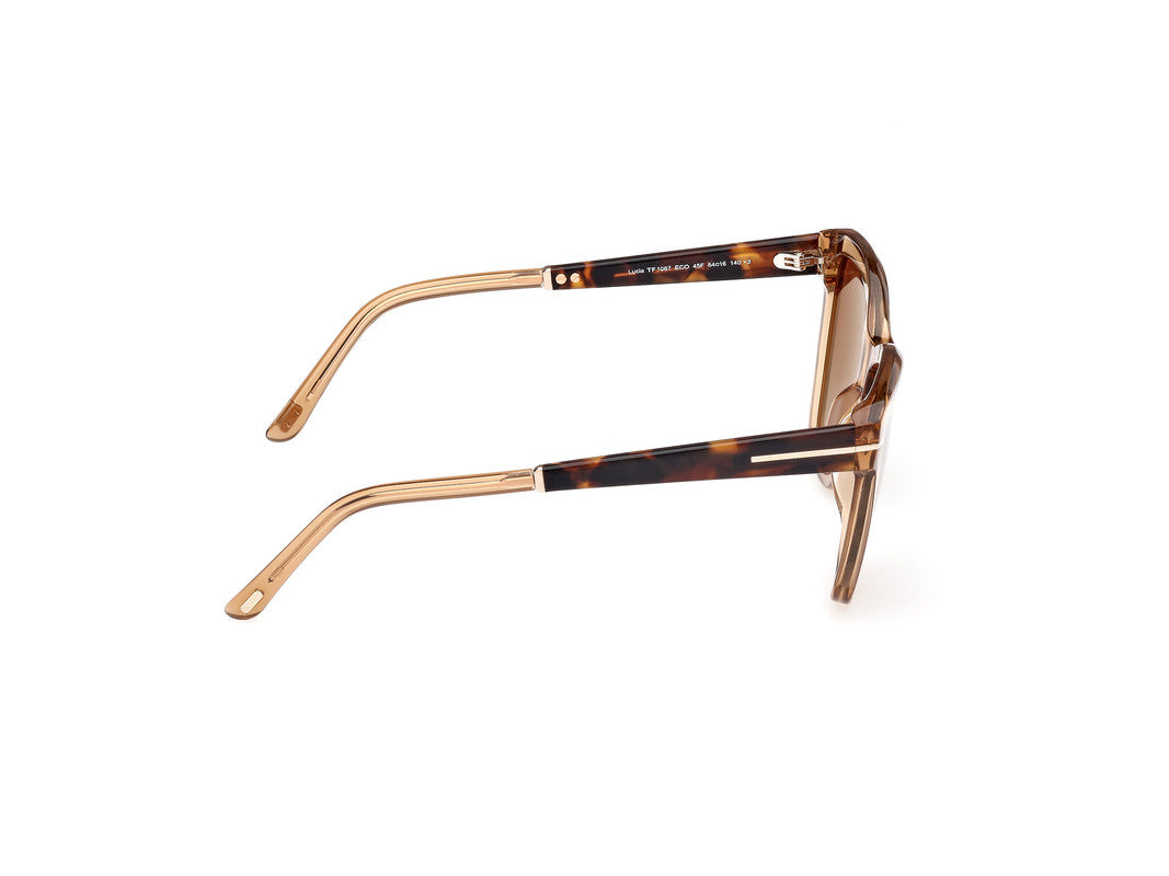 ShinyLight Brown Female Sunglasses Tom Ford 889214469458