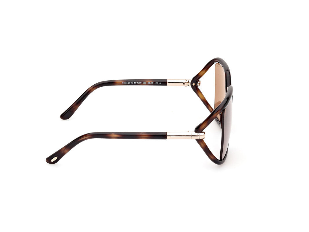 Dark Havana Female Sunglasses Tom Ford 889214469540