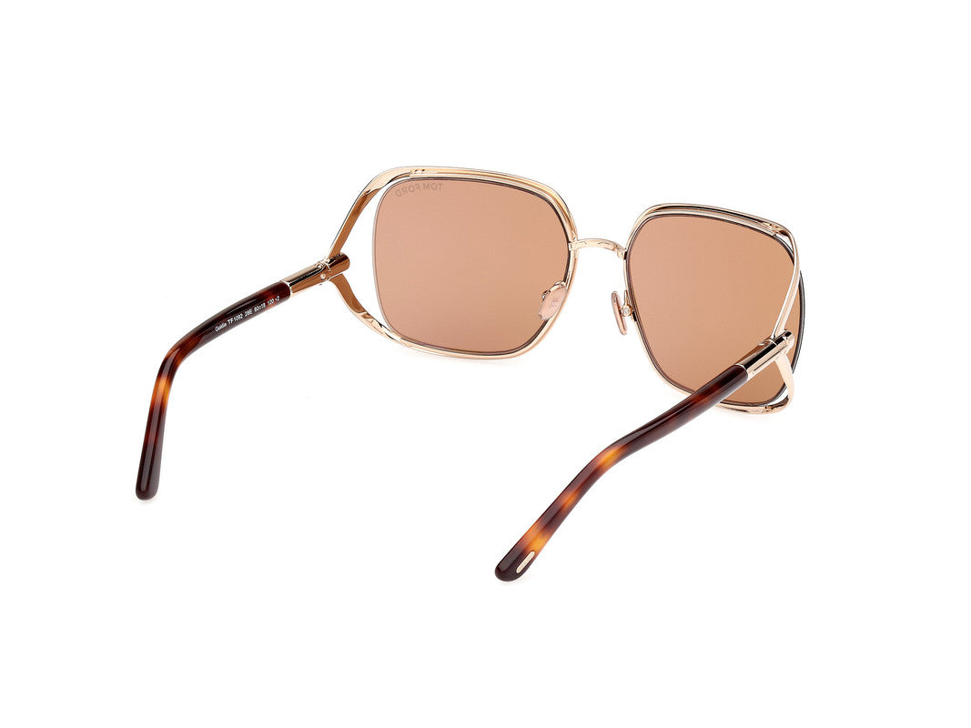 Shiny Pale Gold Female Sunglasses Tom Ford 889214469632