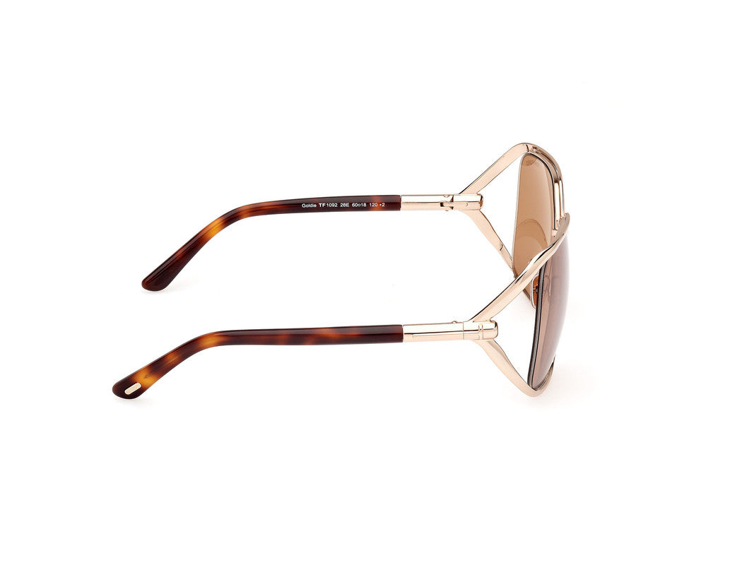Shiny Pale Gold Female Sunglasses Tom Ford 889214469632