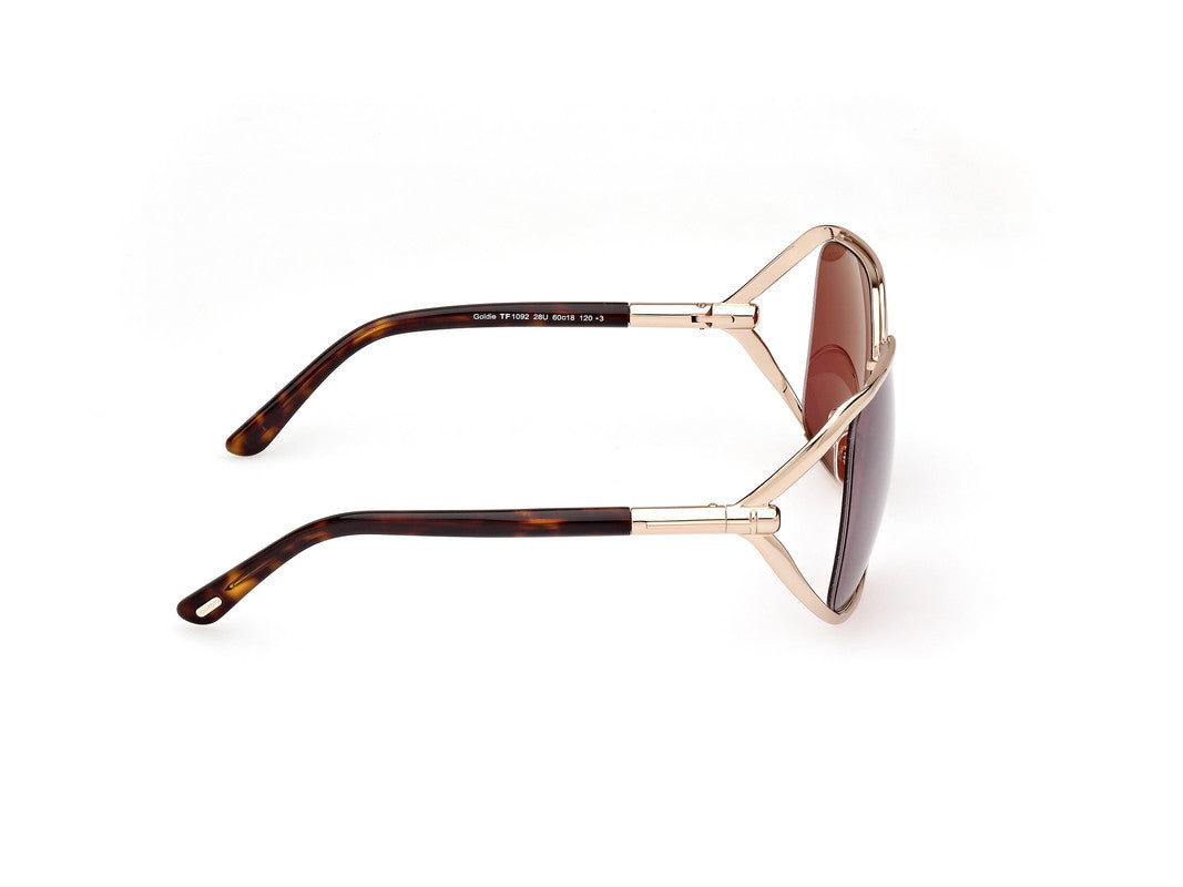 Shiny Pale Gold Female Sunglasses Tom Ford 889214469649
