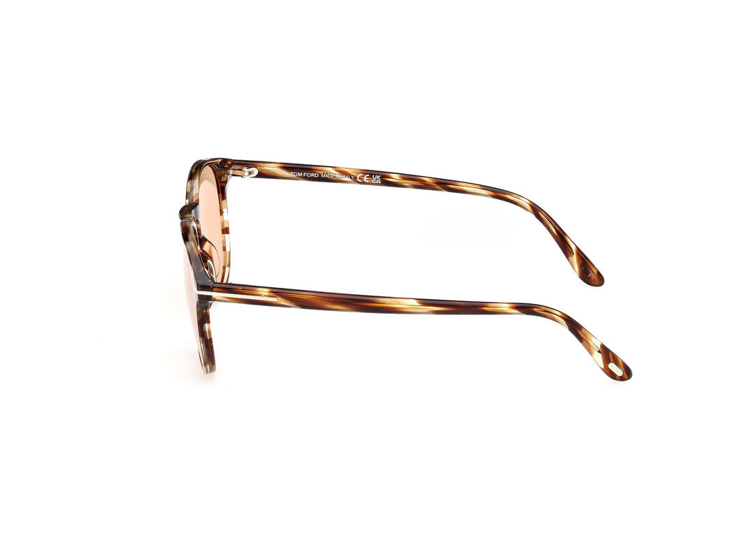 Coloured Havana
 Male Sunglasses Tom Ford 889214477934