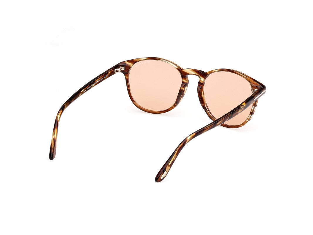 Coloured Havana
 Male Sunglasses Tom Ford 889214477934