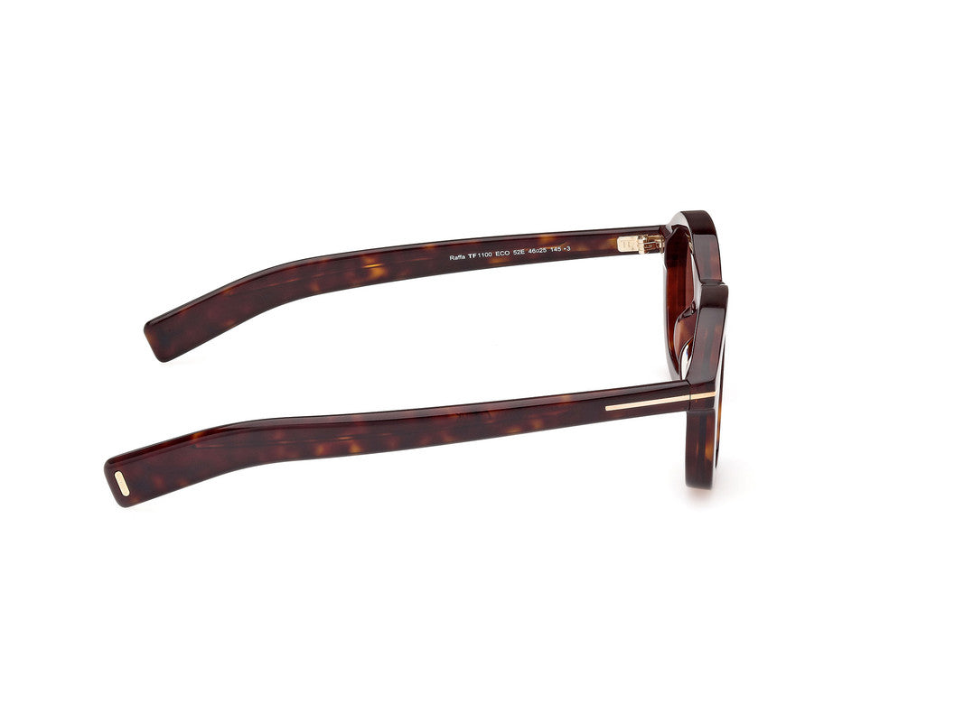 Dark Havana Male Sunglasses Tom Ford 889214477538