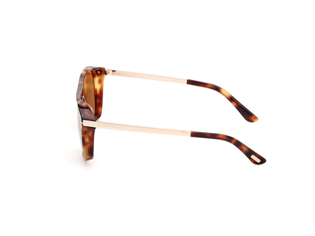 Coloured Havana Male Sunglasses Tom Ford 889214479761
