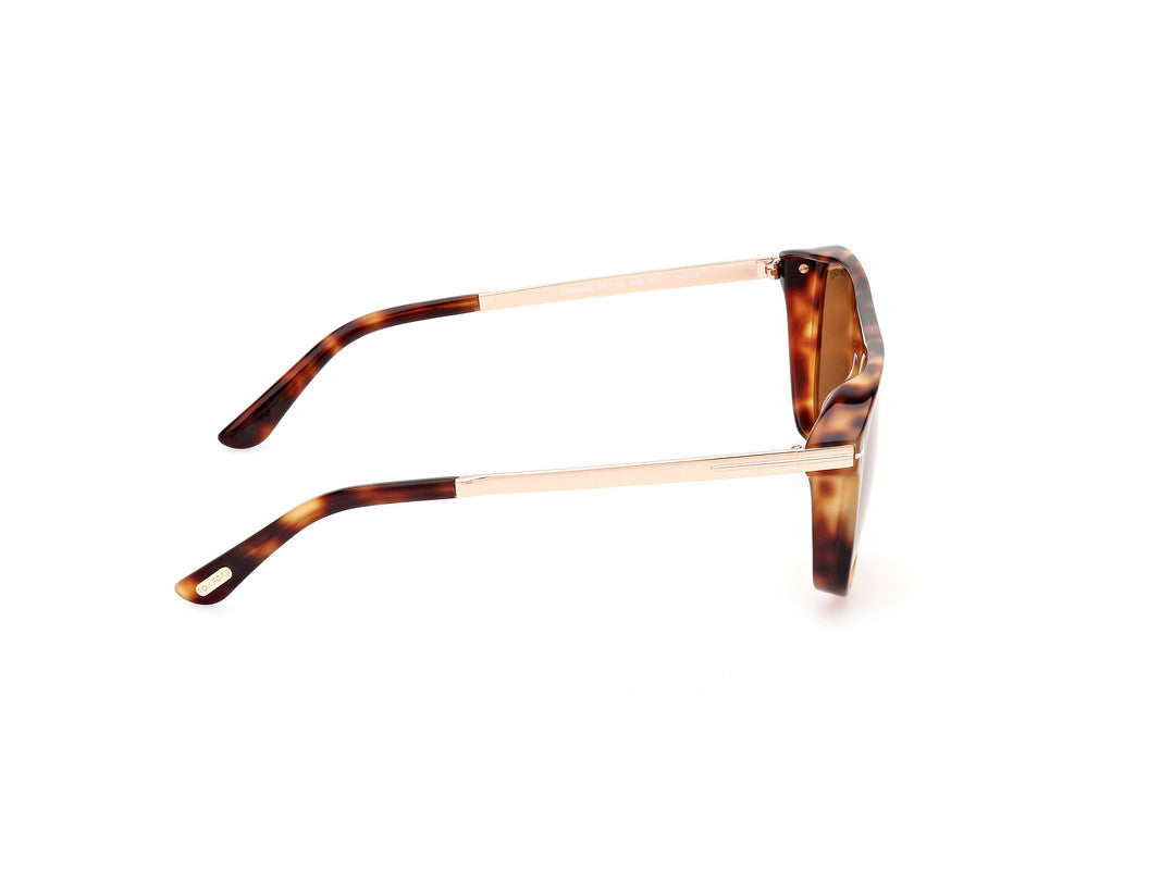 Coloured Havana Male Sunglasses Tom Ford 889214479761