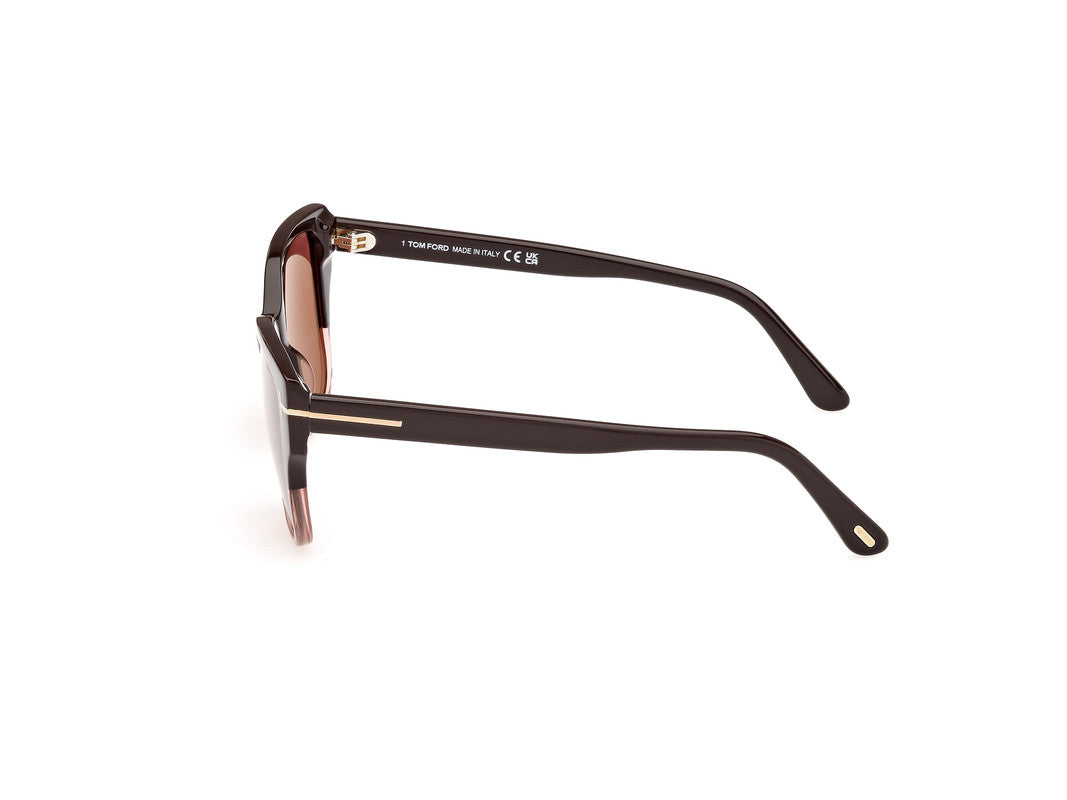 Shiny Dark Brown Female Sunglasses Tom Ford 889214477576