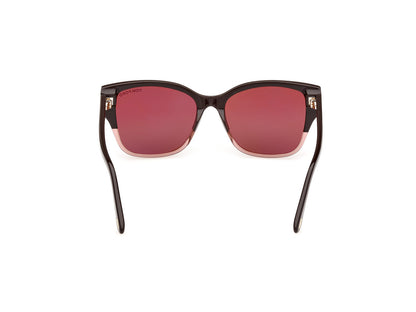 Shiny Dark Brown Female Sunglasses Tom Ford 889214477576