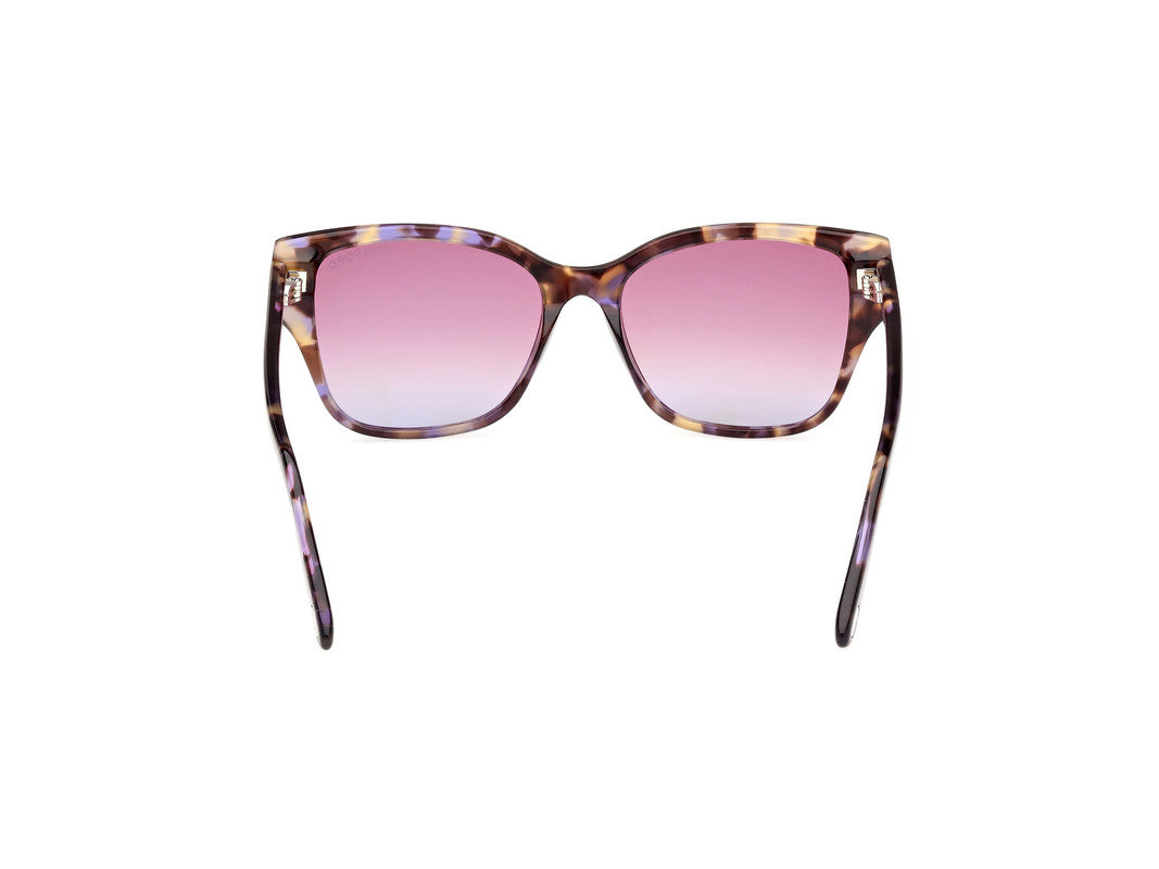 Coloured Havana Female Sunglasses Tom Ford 889214477606