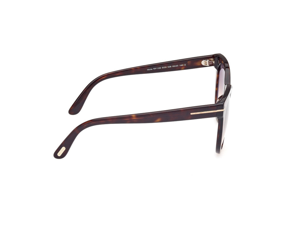 Dark Havana Female Sunglasses Tom Ford 889214477637