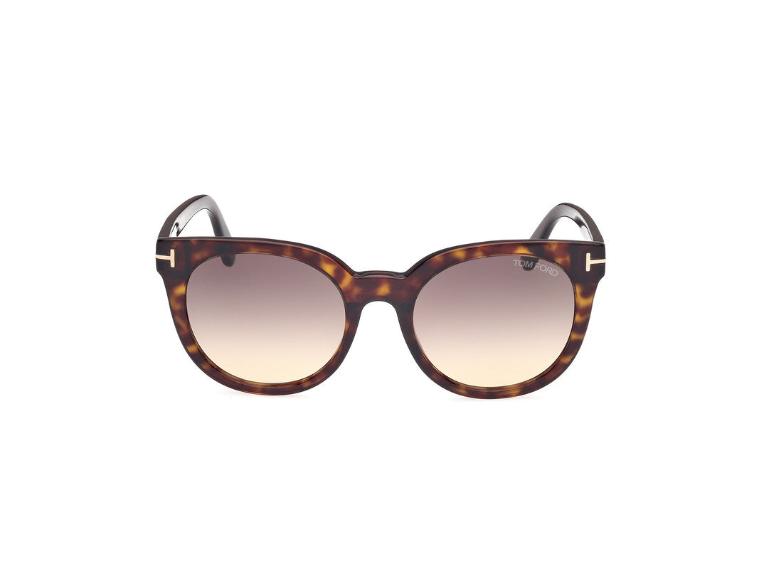 Dark Havana Female Sunglasses Tom Ford 889214477637