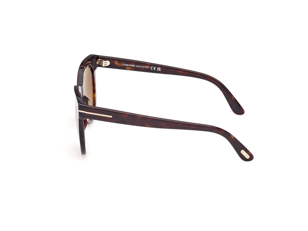 Dark Havana Female Sunglasses Tom Ford 889214477644