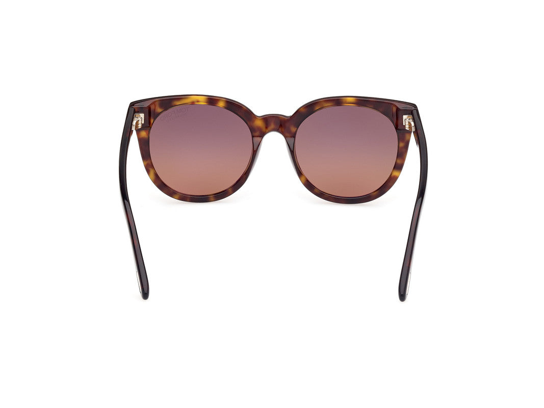 Dark Havana Female Sunglasses Tom Ford 889214477644