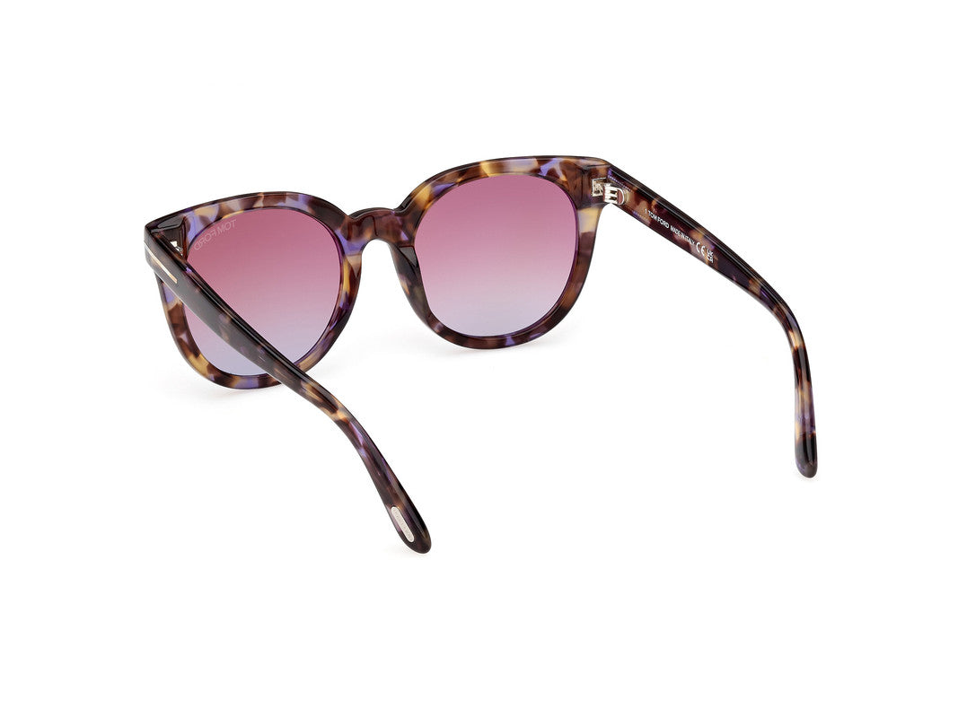 Coloured Havana Female Sunglasses Tom Ford 889214477651