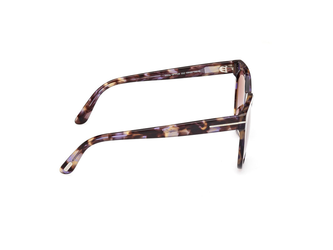 Coloured Havana Female Sunglasses Tom Ford 889214477651