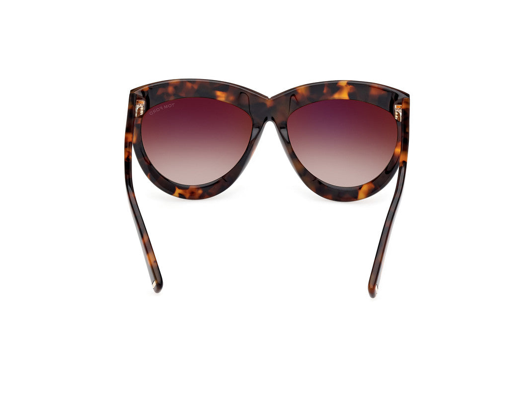 Blonde Havana Female Sunglasses Tom Ford 889214479860
