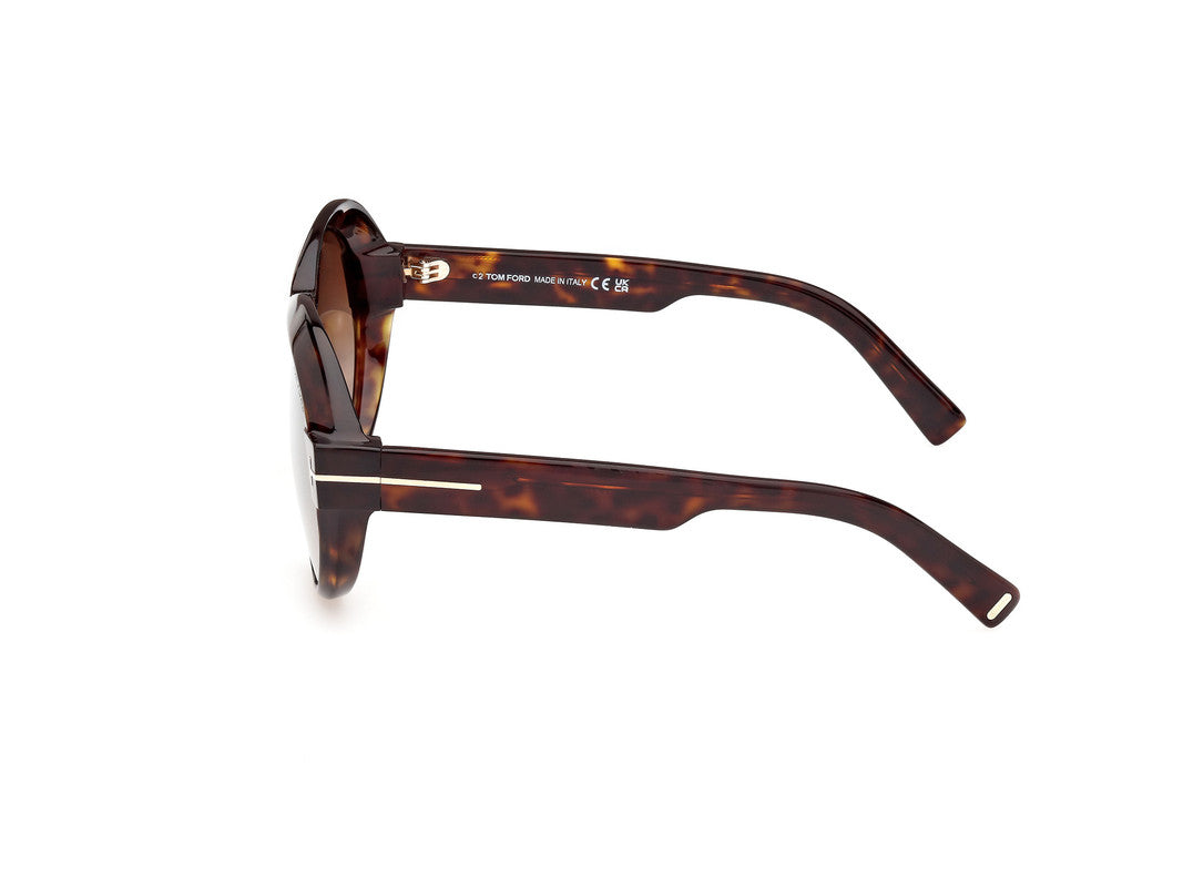 Dark Havana Female Sunglasses Tom Ford 889214479884