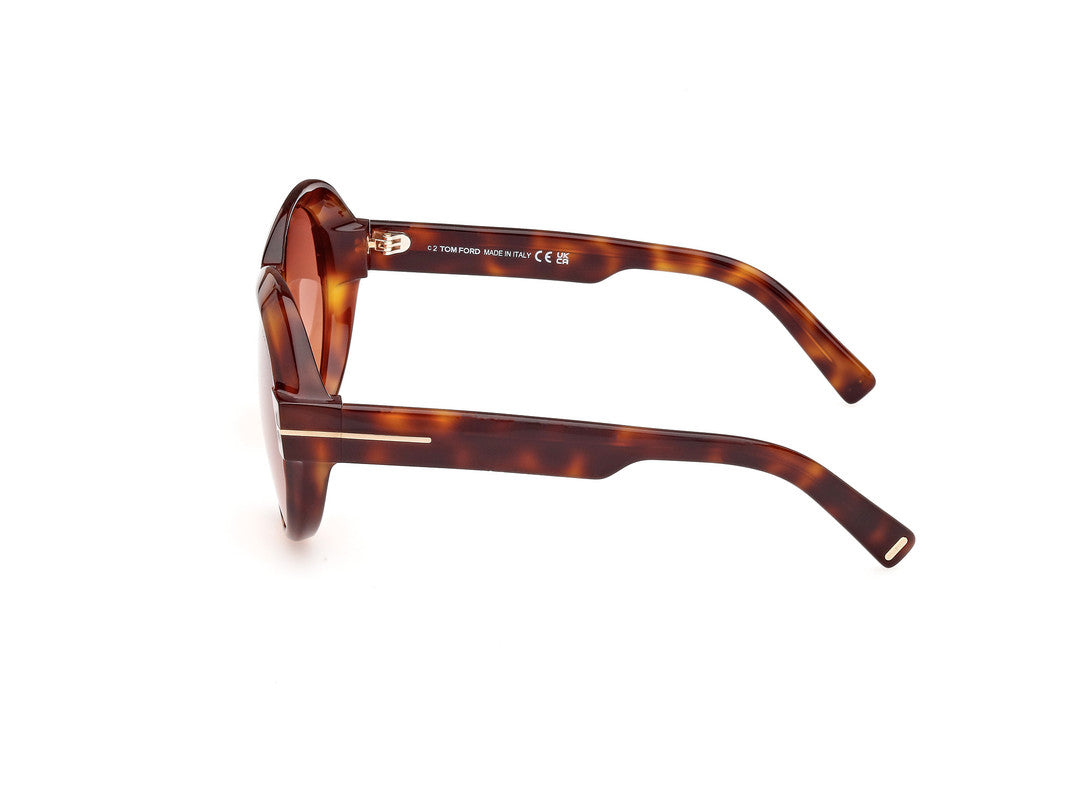 Blonde Havana Female Sunglasses Tom Ford 889214479891