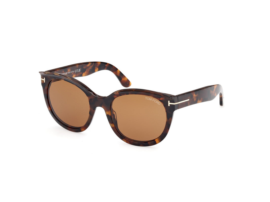 Dark Havana Female Sunglasses Tom Ford 889214479921