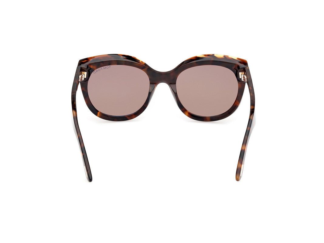 Dark Havana Female Sunglasses Tom Ford 889214479921