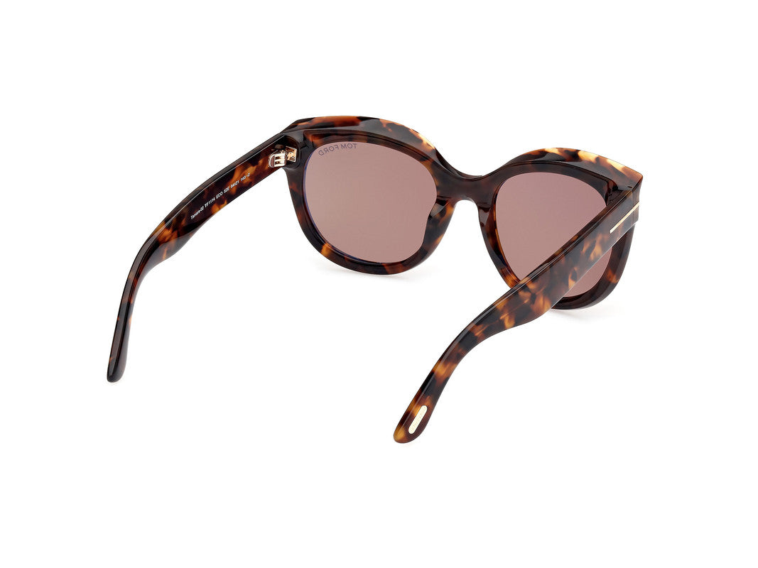 Dark Havana Female Sunglasses Tom Ford 889214479921