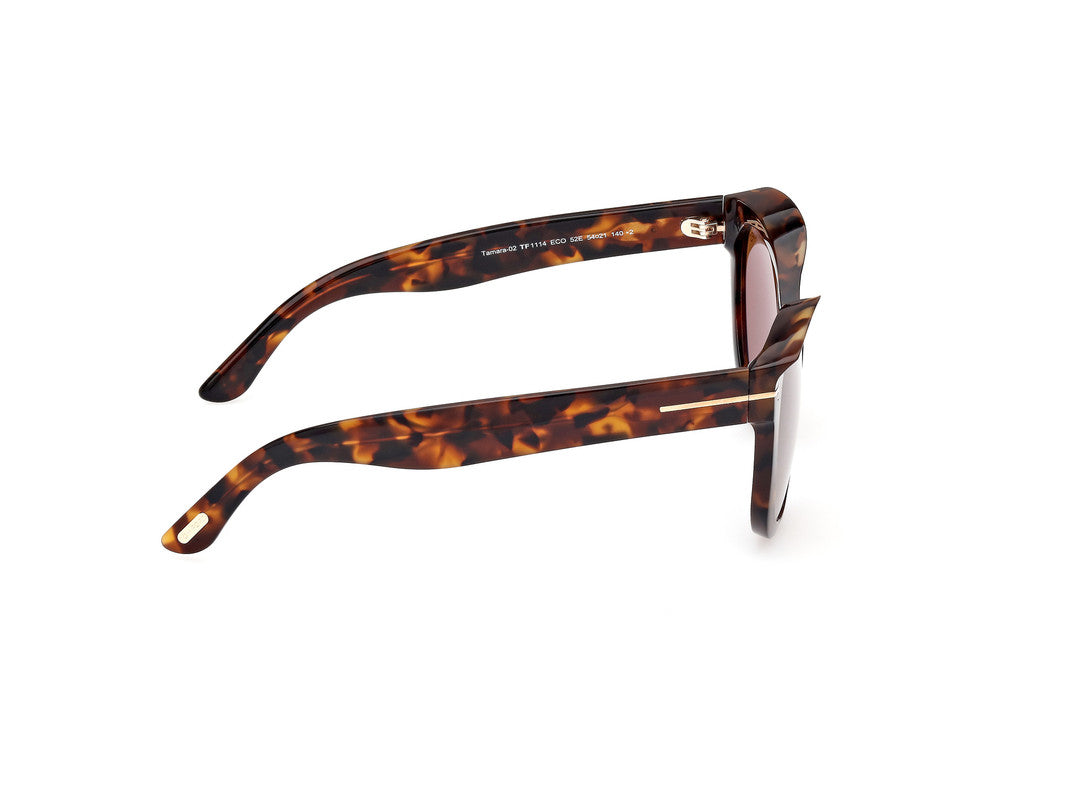 Dark Havana Female Sunglasses Tom Ford 889214479921