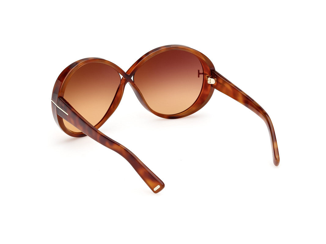 Blonde Havana Female Sunglasses Tom Ford 889214477798