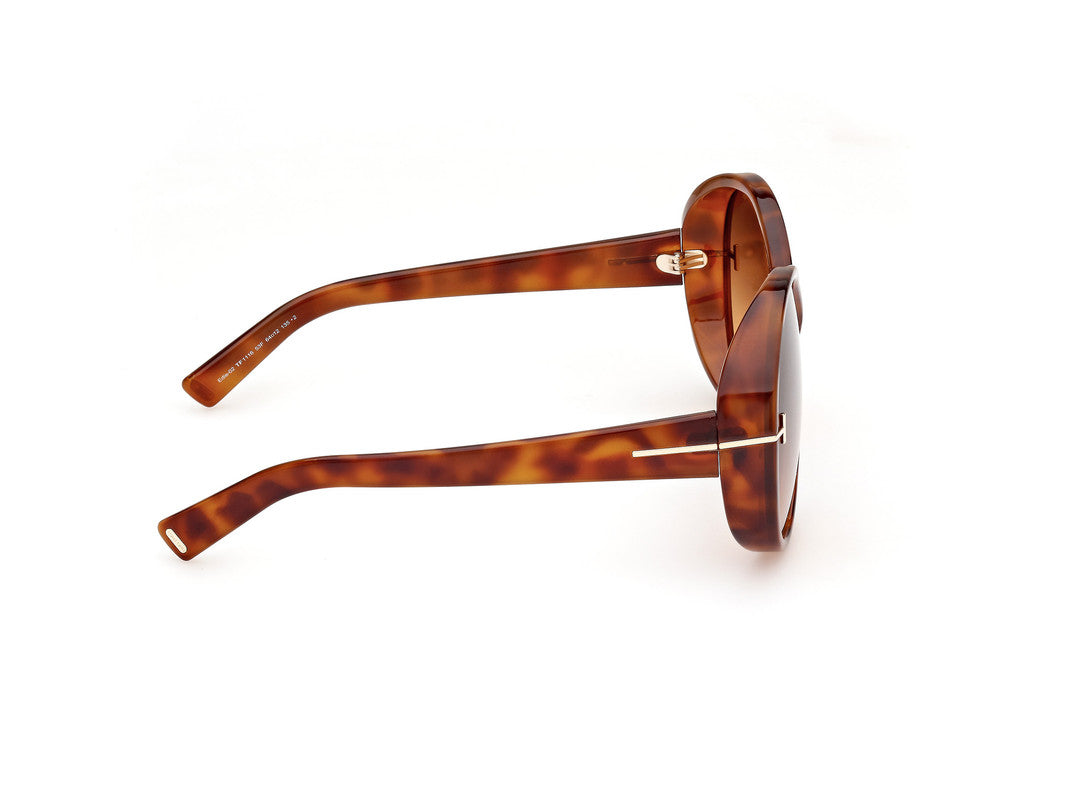 Blonde Havana Female Sunglasses Tom Ford 889214477798